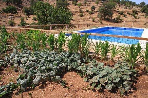 Apartamentos Turisticos Rurales Monte De Las Animas Valdepenas de Jaen Exteriör bild